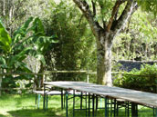 Agrandir la photo
