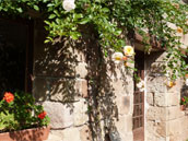 Agrandir la photo