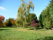Agrandir la photo