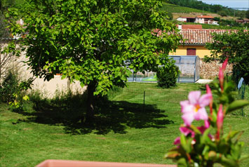 Gite de groupe Les 5 pieds de vigne