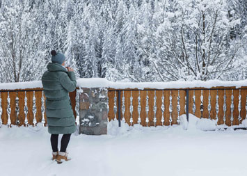 Gite de groupe Chalet du Bon Air