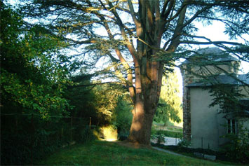 Gite de groupe Le Castel des Cèdres