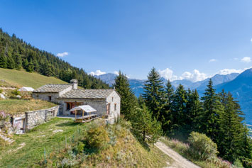 Gite de groupe Chalet de l'Ortet