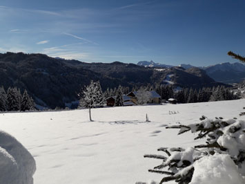 Gite de groupe Chalet Les Plantagenêts