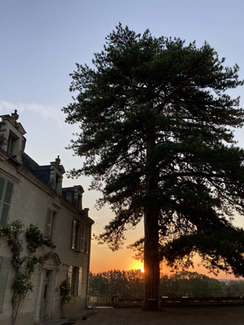 Gite de groupe Château de la Boussinière