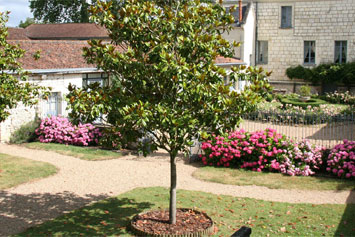 Gite de groupe Château de Bournand
