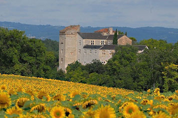 Gite de groupe Château de Livers
