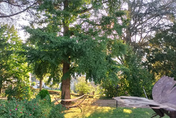 Gite de groupe Château d'Arfeuilles