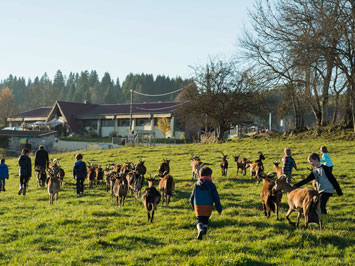 Gite de groupe CLAJ - Ferme de la Batailleuse