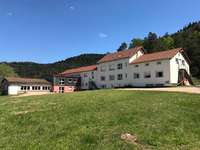 Gite de groupe Vosges
