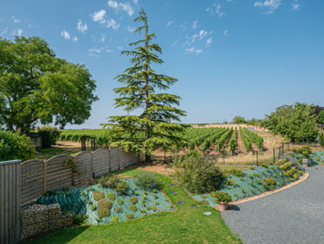 Gite de groupe Gîte des Nerleux