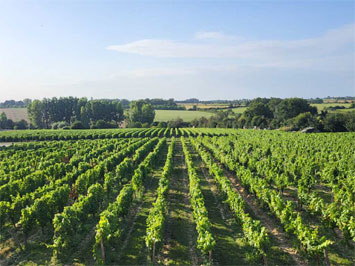 Gite de groupe Le Logis du Domaine de Pied Flond