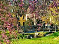 Domaine de Thironne