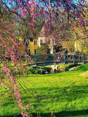 Gite de groupe Domaine de Thironne