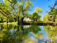 Gite de groupe Charente