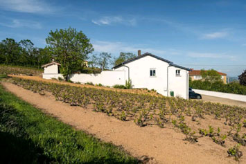 Gite de groupe Gite En vol et Vigne