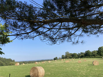 Gite de groupe Gîte Ernest