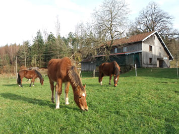 Gite de groupe Gîte à la Ferme Aux Moineaux