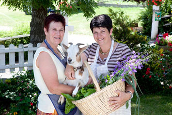 Gite de groupe Ferme du Ruisselet