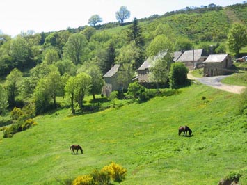 Gite de groupe Ferme de la Truyère