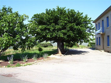 Gite de groupe Les Feuilles de Chêne