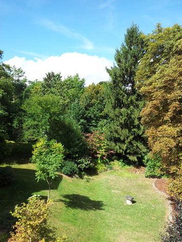 Gite de groupe Le Bois Fleuri de Larchant