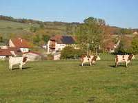 Gite de groupe Jura