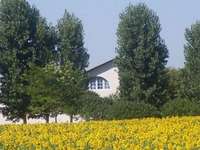 Gite de groupe Tarn
