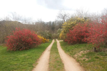 Gite de groupe Les Jartrus