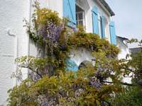 Gite de groupe Morbihan