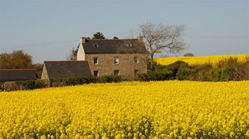 Gite de groupe Le grand gîte de Kertanguy