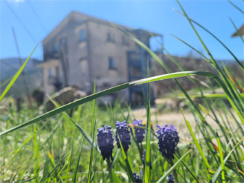 Gite de groupe La Basthus