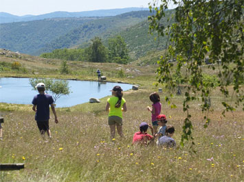 Gite de groupe Gîte La Fage