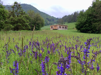Gite de groupe Gîte de La Nef