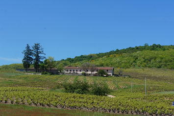 Gite de groupe La Vigne en Rose