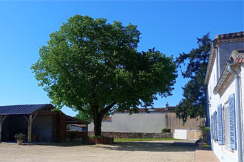 Gite de groupe La Longère de Bellevue