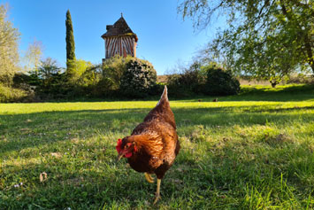 Gite de groupe Maison Pénélopé