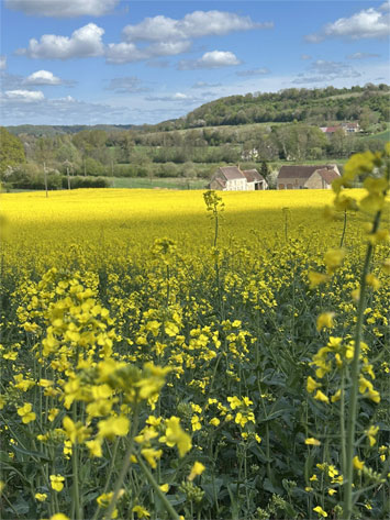 Gite de groupe La Maison des Racines