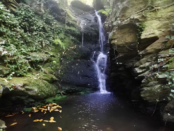 Gite de groupe Domaine du Martinet Haut