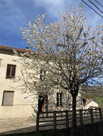 Gite de groupe La Pépite du Vercors