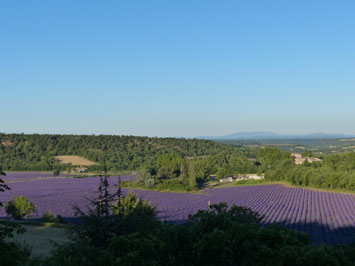 Gite de groupe La Ferme du Petit Ségriès