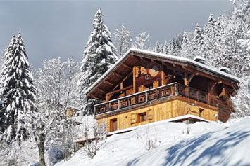 Gite de groupe Chalet Plein Sud 1000