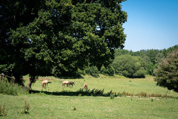 Gite de groupe Domaine de la Porte des Prés