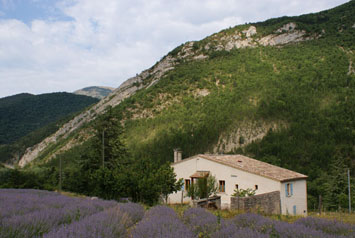 Gite de groupe Gîte des Raux