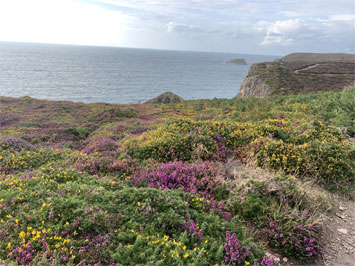 Gite de groupe Le Relais du Cap Fréhel