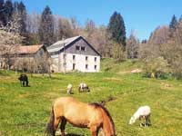 Gite de groupe Vosges