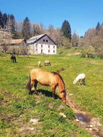 Gite de groupe Le Refuge de Création du Rupt de Bamont