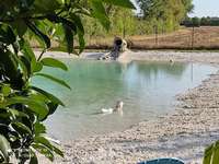 Gite de groupe Charente-Maritime