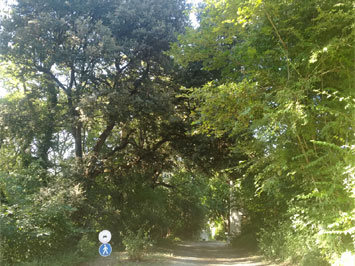 Gite de groupe Gîte Serre Gros