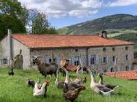 Gite de groupe Loire